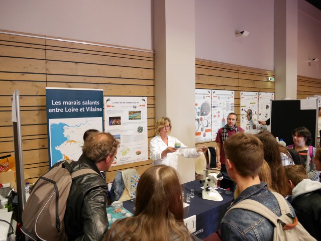 Stands St Nazaire